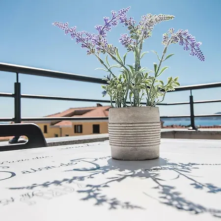 Hera With Balcony And Free Parking Zadar