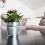 Hera With Balcony And Free Parking 아파트 자다르