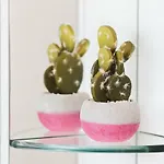 아파트 Hera With Balcony And Free Parking *