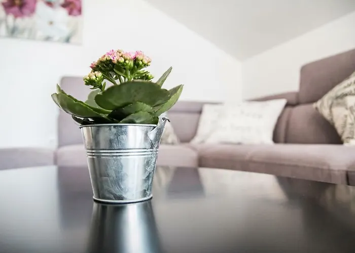 Hera With Balcony And Free Parking アパート ザダル