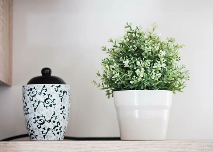 Hera With Balcony And Free Parking アパート